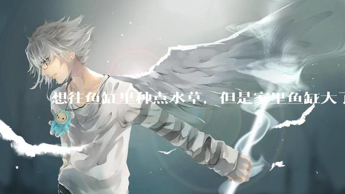 想往鱼缸里种点水草，但是家里鱼缸大了买水草泥或者底砂太贵了，有没有生活中可以替代的物品或其他建议？