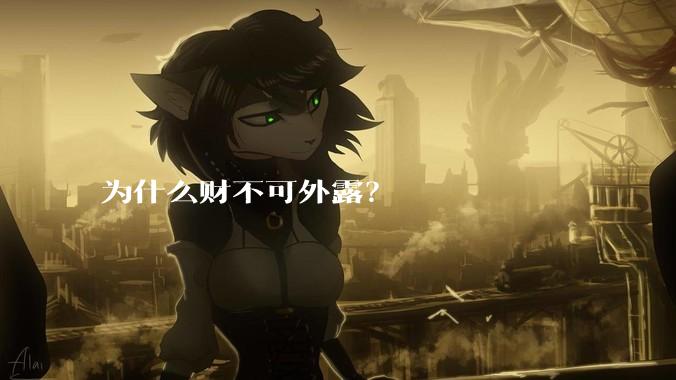 为什么财不可外露？
