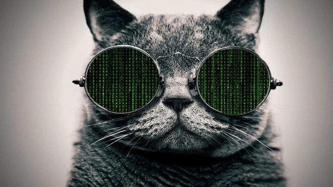 Golang 中为什么没有注解？